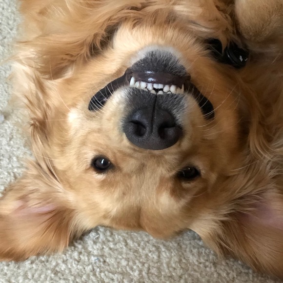 Meet your Posher - Picture 2 of 2